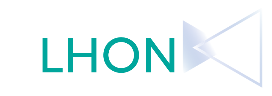Masterclass on lhon